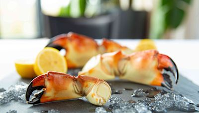 Stone Crab Season Kicks Off on October 15 — Here's Where to Taste the Famous Claws