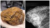 A gold miner found a mysterious grapefruit-sized fur ball. It turned out to be a 'perfectly preserved' 30,000-year-old squirrel.