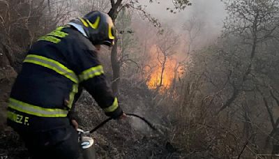 Incendio en Bosque de Tlalpan cerca de Six Flags: Bomberos CDMX revelan qué sucedió