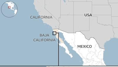 Surfers killed in likely carjacking, says Mexico