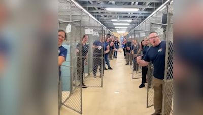 Staff cheers in front of empty dog cages after adoption event cleared out their kennel