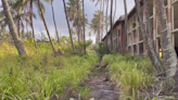 Activists voice complaints as plans move forward to rebuild Kauai's Coco Palms Resort