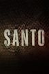 Santo