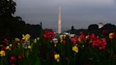 A little rain fell in D.C. on Saturday, and a little was a lot