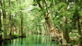 Swim season begins at Blue Hole Regional Park