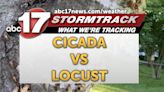 Insider Blog: Differences in cicadas and locusts - ABC17NEWS