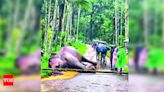 Wild tusker electrocuted in Gudalur forest division | Coimbatore News - Times of India