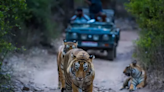 Tourism set to roar in Gujarat with lion-leopard safari in Kutch, Diu - ET TravelWorld