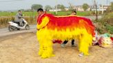 A photographer’s fantastical portrait of rural China during Lunar New Year