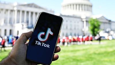 TikTok confirms it offered US government a 'kill switch'