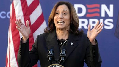 Kamala Harris suggests Supreme Court threatens 'fundamental freedoms,' but doesn't want to be 'alarmist'