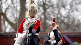 Household Cavalry troopers compete to be named best turned out soldier