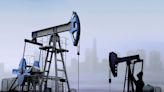 US oil and gas production expected to set record in 2023 despite climate goals: ‘They want to be leaders … but then do the opposite’