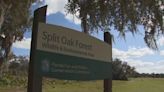 FWC to meet Wednesday to discuss possible toll road near Split Oak Forest