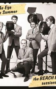 Keep an Eye on Summer: The Beach Boys Sessions 1964