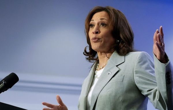 Harris hits Trump on abortion 2 years after leaked Supreme Court decision