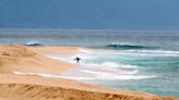 Hawaii lifeguard dies in shark attack while surfing off Oahu