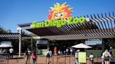 San Diego Zoo named ‘most Instagrammable’ in US