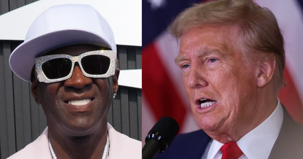 Flavor Flav Jokingly Tells Snoop Dogg, Pitbull to 'Stay Inside' After Trump Claims Immigrants in Ohio Are Eating Pets