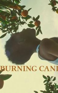 Burning Cane