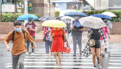 《樂活國民曆》：小滿是載著複雜情緒的節氣，適逢台灣梅雨季，比立夏更熱更濕也更悶 - TNL The News Lens 關鍵評論網