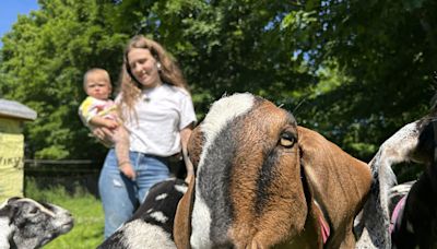 Maine’s homestead influencers put modern twist on old idea