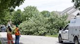 Heavy wind gusts knock out power to 22,000 Londoners