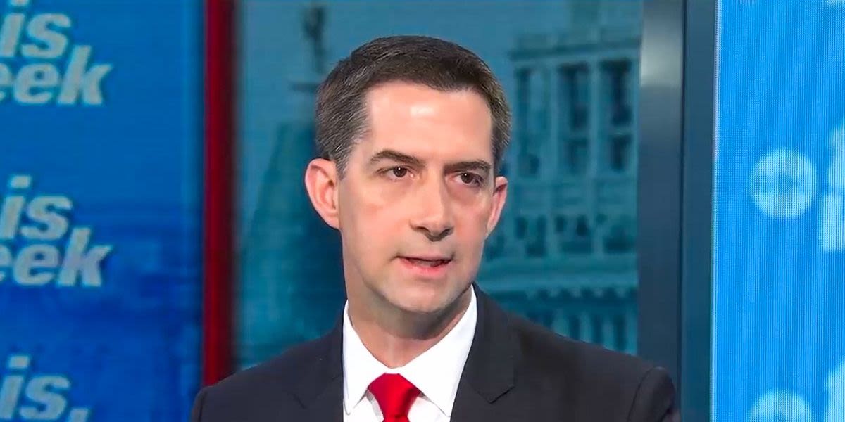 ABC host confronts Tom Cotton after he says rioters were 'just wandering' on Jan 6.