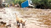 Lluvias suman en tres estados siete muertos; van 2 mil 500 viviendas afectadas en Veracruz