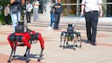 上海交大研「導盲機器犬」 語音識別準確率達90%助視障人士自主出行