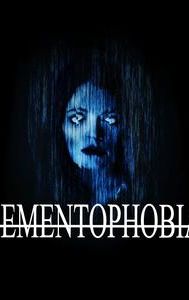 Dementophobia