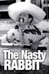 The Nasty Rabbit