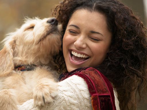 No deberías dejar que tu perro te lama la cara o la boca: un veterinario explica por qué