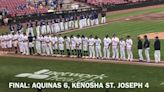 WIAA state baseball: La Crosse Aquinas wins Division 3 championship