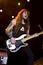 Steve Harris (musician)