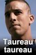 Taureau taureau