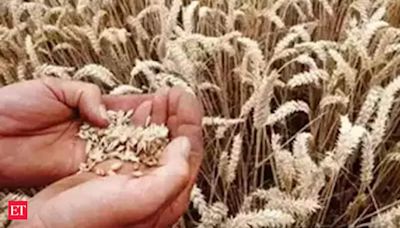 FCI wheat procurement hits 26.6 mn tn, surpassing last year's purchase - The Economic Times