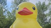 This 25-foot inflatable duck ‘died’ so a Michigan business could thrive