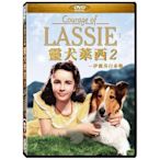 合友唱片 靈犬萊西2：戰火歷險記 伊麗莎白泰勒 DVD Courage of Lassie