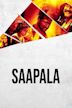 Saapala