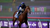 Breeders' Cup 2022: Post positions, odds, entries for Turf Sprint