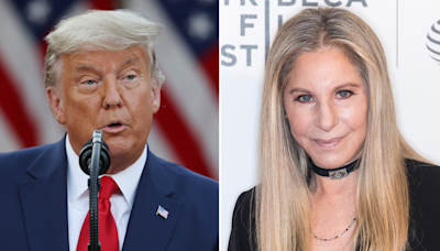Barbra Streisand's Donald Trump "bragging" post takes off online