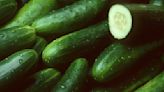 Cucumbers recalled in 14 states due to salmonella risk