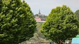 The pretty Greater Manchester park with a boating lake to visit when it's sunny