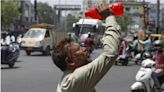 印度高溫破50度熱死2百人 40隻猴子「跳井找水喝」全溺斃