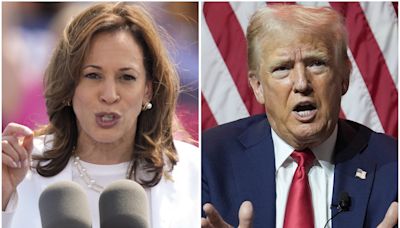 Kamala Harris Is Hoping You Turn Your Brain Off, Vote on Emotion | Opinion