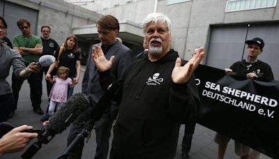 Greenland arrests prominent anti-whaling activist on Japan’s behalf