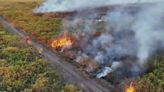 Un 96% de incendios está bajo control en el Pantanal - El Diario - Bolivia