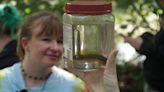 Warren Wilson class helps reintroduce tangerine darter to Swannanoa River