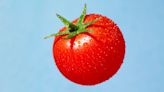 Tomatoes have “anticancer” properties, thanks to one important nutrient